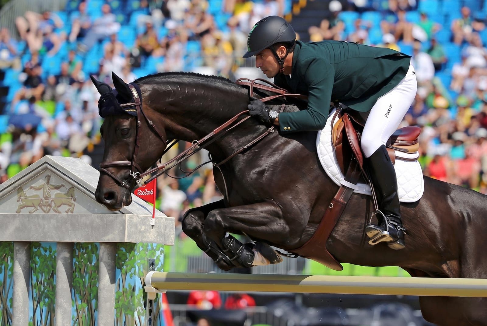 Castelo do Vale — cavalo de salto